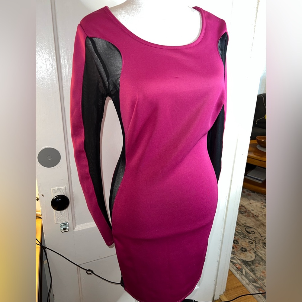 Charlotte Russe Fuchsia and Black Long Sleeve Dress